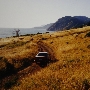 Briceland Road
