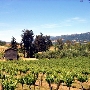 Blue Rock Vineyard