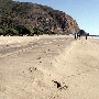 Sycamore Cove State Beach (SB) & Campground @ Point Mugu State Park (SP) - CFC