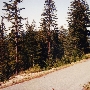 Eyesee Road - National Forest Rd. 15