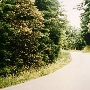 Freshwater Road