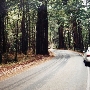 Highway 236 - Felton