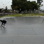 Skatepark @ Ruth R. Caruthers Park