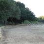 Chumash Indian Museum