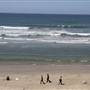 Huntington Beach City Dog Beach