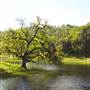 Santa Margarita Ranch