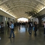 California Academy of Sciences