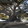 Beverly Gardens Park
