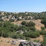 Dawson Ranch