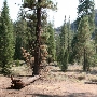 Kennedy Meadows Resort & Packstation