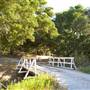 Golden Oak Ranch - Natural Area