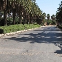 California Citrus State Historic Park (SHP)
