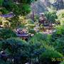 Japanese Tea Garden - San Mateo Central Park & Recreation Center