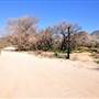Heisenberg Heights Movie Ranch at Stallion Oaks Ranch