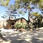 Johnson Ranch / White Cave Mountain