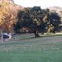 King Gillette Ranch - Interagency / Multi-Jurisdictional