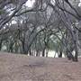 Tapia Park @ Malibu Creek State Park (SP)