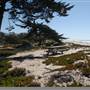 Carpinteria State Beach (SB)