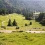 Mattole Road (3)