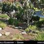 Juan Cabrillo Elementary School - SMMUSD
