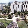 California State University, Fullerton