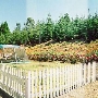 Camino Apple Hill