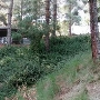 Camp Hollywoodland