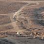Upland Game Hunting Area - California Department of Fish and Wildlife (CDFW)