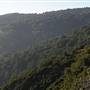Palomar Mountain State Park (SP)