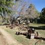 Gilman Historic Ranch