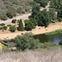 Bogart Regional Park
