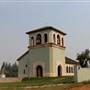 Anselmo Vineyard