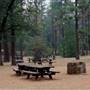 McArthur-Burney Falls Memorial State Park (SP)