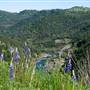 Auburn State Recreation Area (SRA)