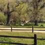 Fort Tejon State Historic Park (SHP)