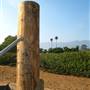 Carpinteria State Beach (SB)