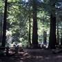 Samuel P. Taylor State Park (SP)