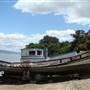 China Camp State Park (SP)