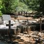 Malakoff Diggins State Historic Park (SHP)