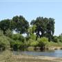 McConnell State Recreation Area (SRA)