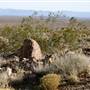 Providence Mountains State Recreation Area (SRA) / Mitchell Caverns