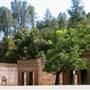 Shasta State Historic Park (SHP)