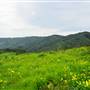 San Bruno Mountain State Park (SP)