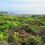San Bruno Mountain State Park (SP)
