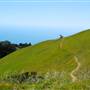 Mount Tamalpais State Park (SP)