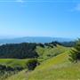 Mount Tamalpais State Park (SP)