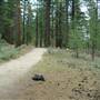 Grover Hot Springs State Park (SP)