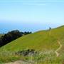 Mount Tamalpais State Park (SP)
