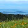Mount Tamalpais State Park (SP)