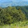 Mount Tamalpais State Park (SP)